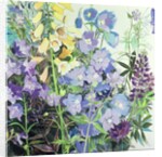 Delphiniums and Foxgloves by Claire Spencer