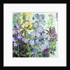 Delphiniums and Foxgloves by Claire Spencer