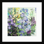 Delphiniums and Foxgloves by Claire Spencer