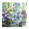 Delphiniums and Foxgloves by Claire Spencer