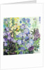 Delphiniums and Foxgloves by Claire Spencer