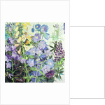 Delphiniums and Foxgloves by Claire Spencer