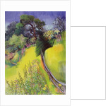 Midsummer by Claire Spencer