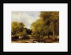 A woody river scene, 1850 by Frederick Richard Lee