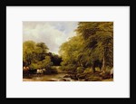 A woody river scene, 1850 by Frederick Richard Lee