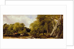 A woody river scene, 1850 by Frederick Richard Lee