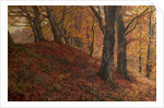 At the Fall of Leaf, Arundel Park, Sussex, 1883 by William Samuel Jay