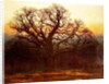 Major Oak, Sherwood Forest, Nottinghamshire, 1882 by Andrew MacCallum
