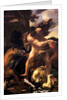 Hercules Vanquishing Diomedes, 1638-42 by Charles Le Brun