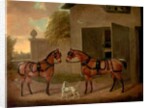 Carriages, Horses and Dogs by Clifton Tomson