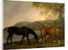 Horses and Dog in a Landscape, c.1830 by Clifton Tomson