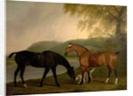 Horses and Dog in a Landscape, c.1830 by Clifton Tomson