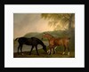Horses and Dog in a Landscape, c.1830 by Clifton Tomson