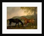 Horses and Dog in a Landscape, c.1830 by Clifton Tomson