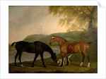 Horses and Dog in a Landscape, c.1830 by Clifton Tomson