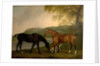 Horses and Dog in a Landscape, c.1830 by Clifton Tomson
