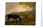 Horses and Dog in a Landscape, c.1830 by Clifton Tomson