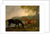 Horses and Dog in a Landscape, c.1830 by Clifton Tomson