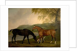 Horses and Dog in a Landscape, c.1830 by Clifton Tomson