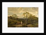 View in Sherwood Forest, Nottinghamshire by John Holland