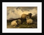Mountain Sheep 1846 by Thomas Sidney Cooper