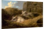 Two Pigs in Straw by George Morland