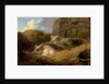 Two Pigs in Straw by George Morland