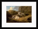 Two Pigs in Straw by George Morland