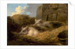 Two Pigs in Straw by George Morland