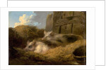 Two Pigs in Straw by George Morland