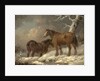 Two Horses in the Snow by George Morland