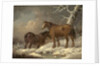 Two Horses in the Snow by George Morland