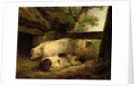 Study of Pigs by George Morland