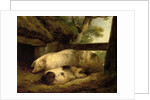 Study of Pigs by George Morland