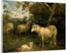 Landscape with Sheep by James Ward