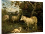 Landscape with Sheep by James Ward