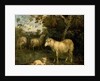 Landscape with Sheep by James Ward