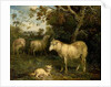 Landscape with Sheep by James Ward