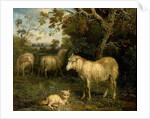 Landscape with Sheep by James Ward