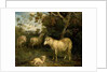 Landscape with Sheep by James Ward