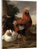 Fowl by Melchior de Hondecoeter