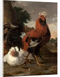 Fowl by Melchior de Hondecoeter