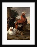 Fowl by Melchior de Hondecoeter