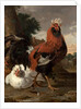 Fowl by Melchior de Hondecoeter