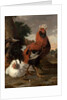 Fowl by Melchior de Hondecoeter
