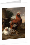 Fowl by Melchior de Hondecoeter
