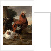 Fowl by Melchior de Hondecoeter