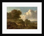 Landscape with Peasants and a Dog by Jan Wijnants