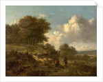Landscape with Peasants and a Dog by Jan Wijnants
