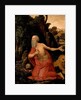 St Jerome by German School
